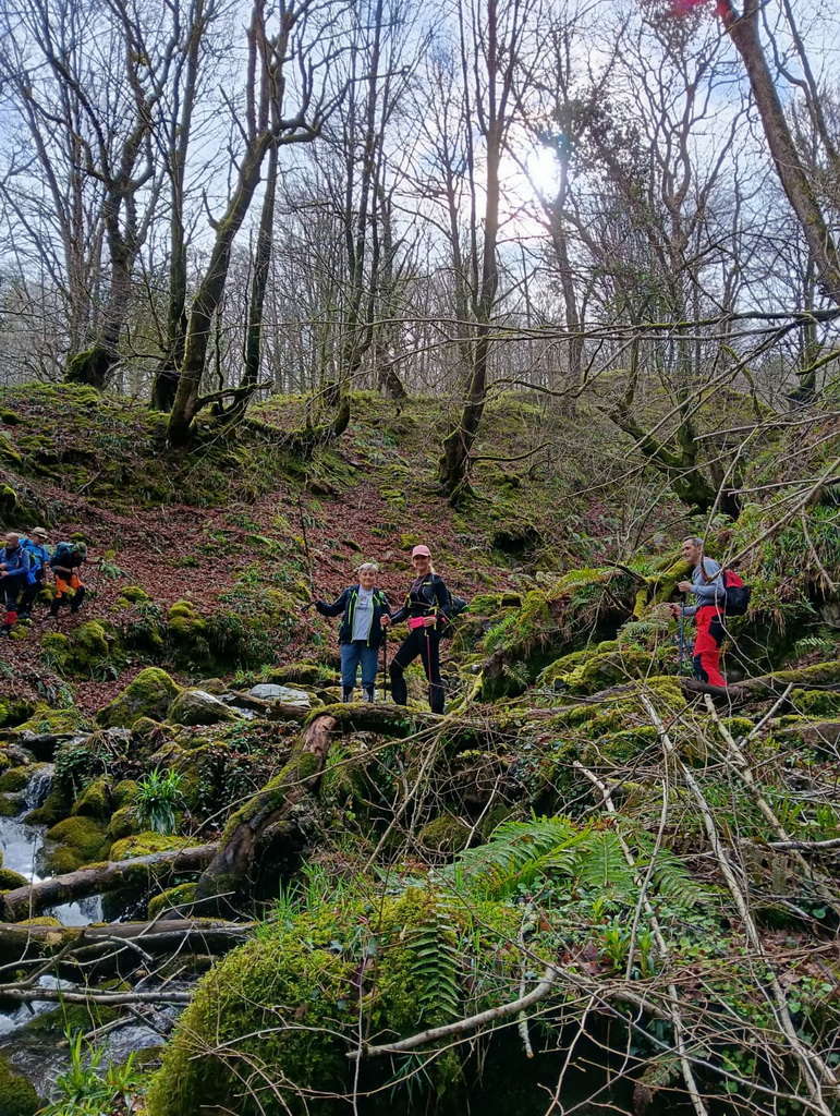 WhatsApp Image 2026-03-08 at 19.34.41 (1)